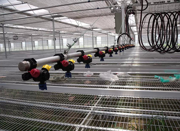 溫室噴灌機適用于哪些作物？